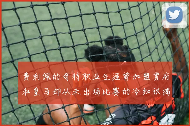 费利佩的奇特职业生涯曾加盟贾府和皇马却从未出场比赛的冷知识揭秘